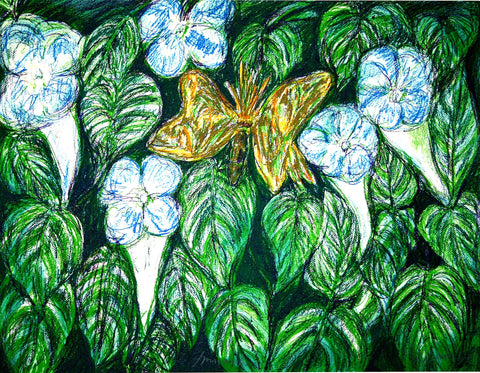 Monarch