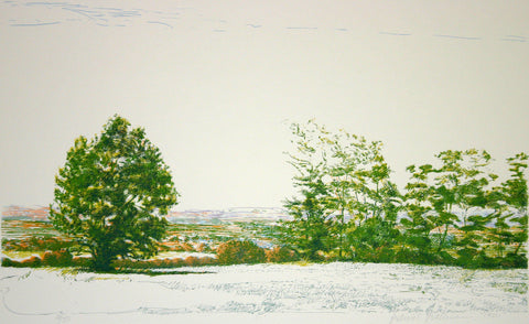 Untitled Landscape
