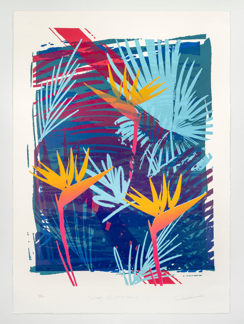 Twilight En El Tropico