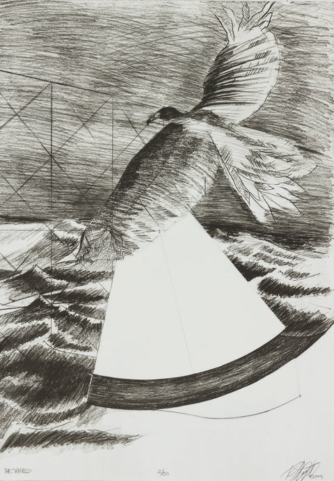 The Witness
