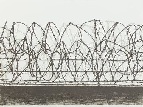 Barbed Wire Series I