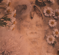 Aunt Lou (Copper)